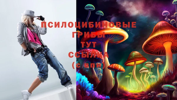 гашик Зеленодольск