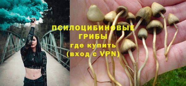гашик Зеленодольск