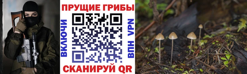 Псилоцибиновые грибы мицелий Купить Ирбит